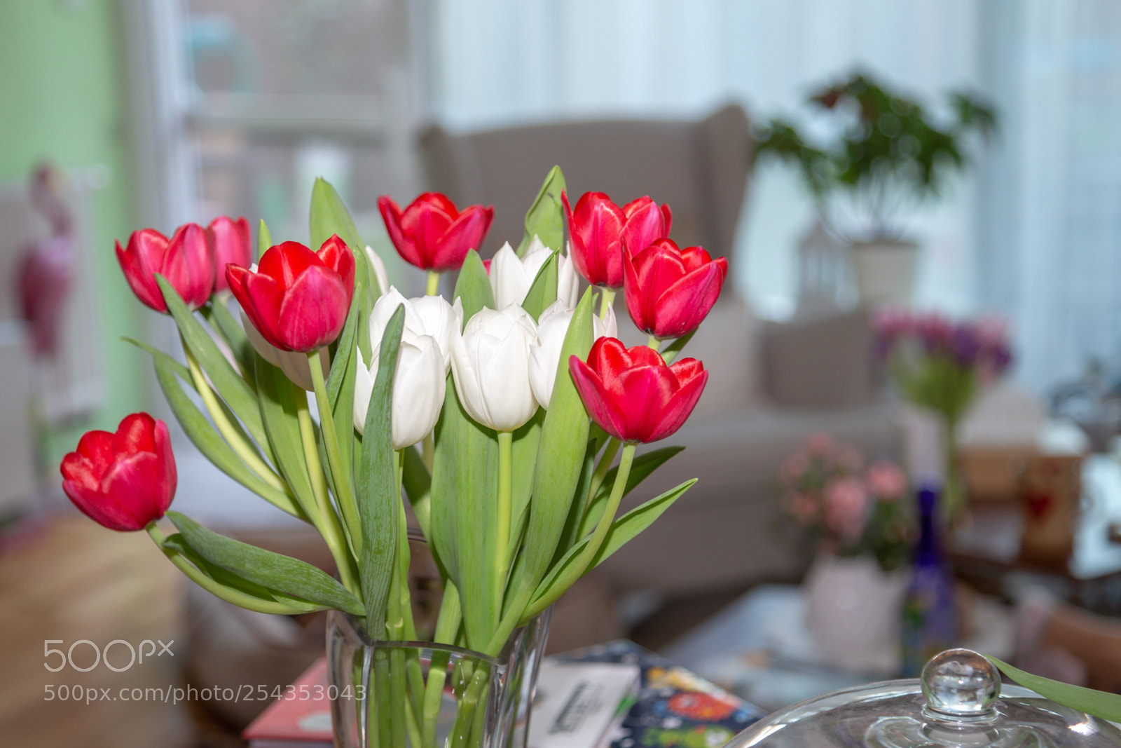 Canon EOS 6D sample photo. Tulips in living room photography