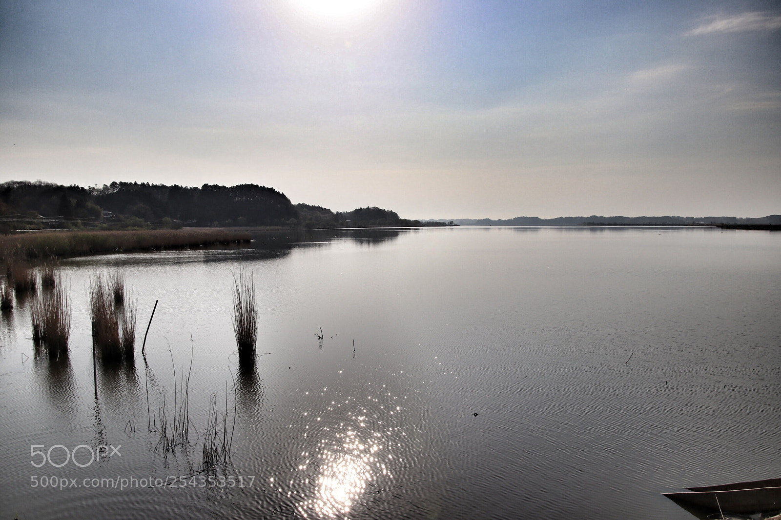 Canon EOS 80D sample photo. Izunuma 伊豆沼物語0420 photography