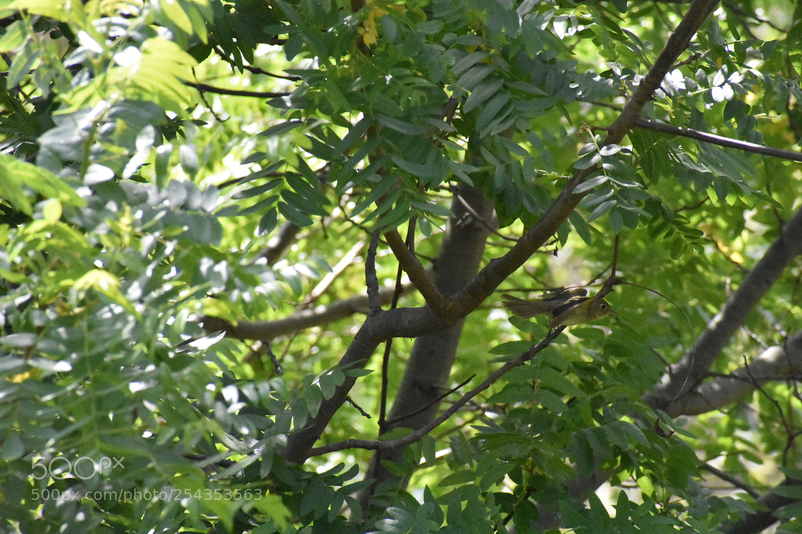 Nikon D3400 sample photo. Dsc photography