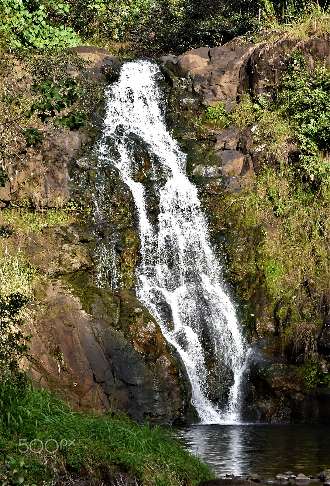 Nikon D5500 sample photo. Waimea falls north shore photography