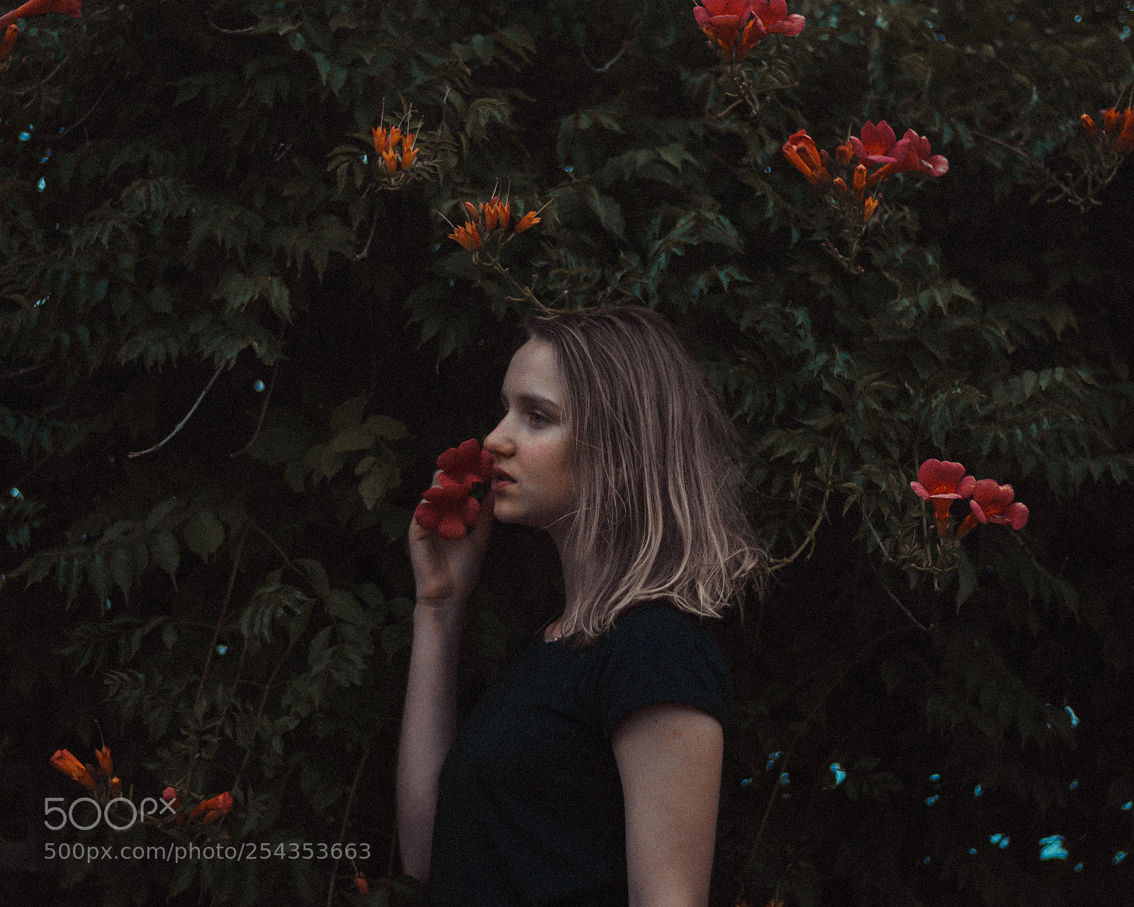 Nikon D3400 sample photo. Flowers feelings photography