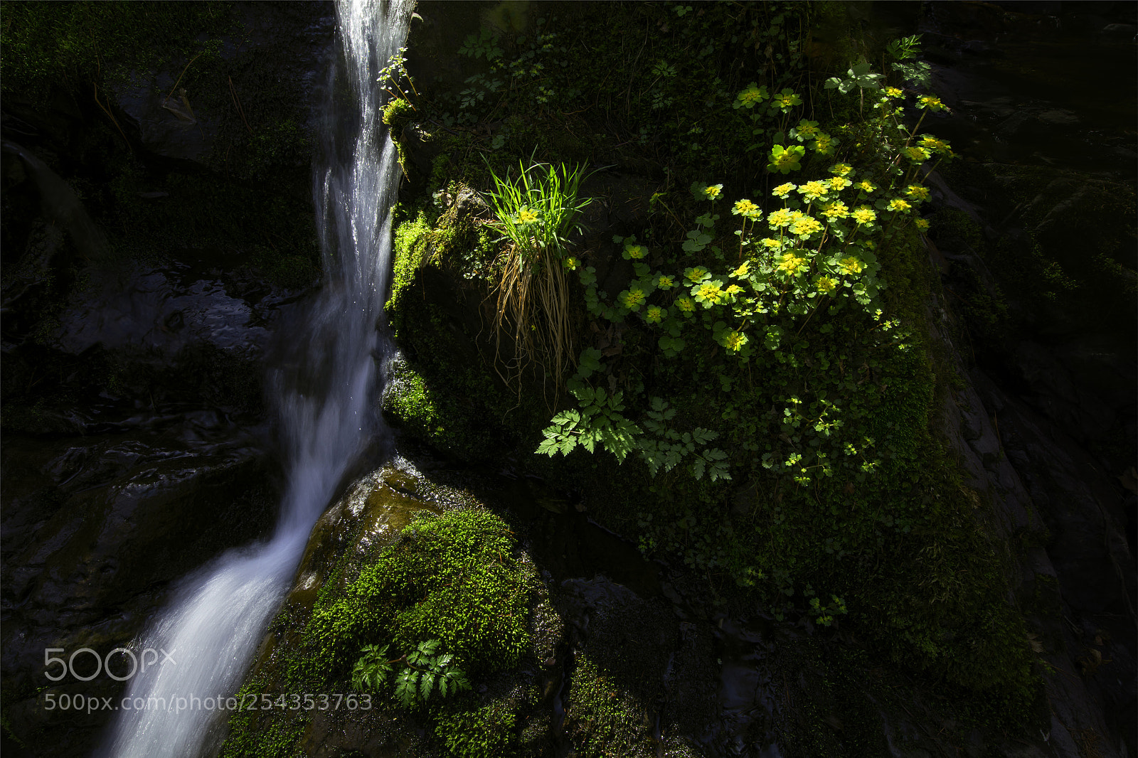 Canon EOS 5DS R sample photo. In the morning photography