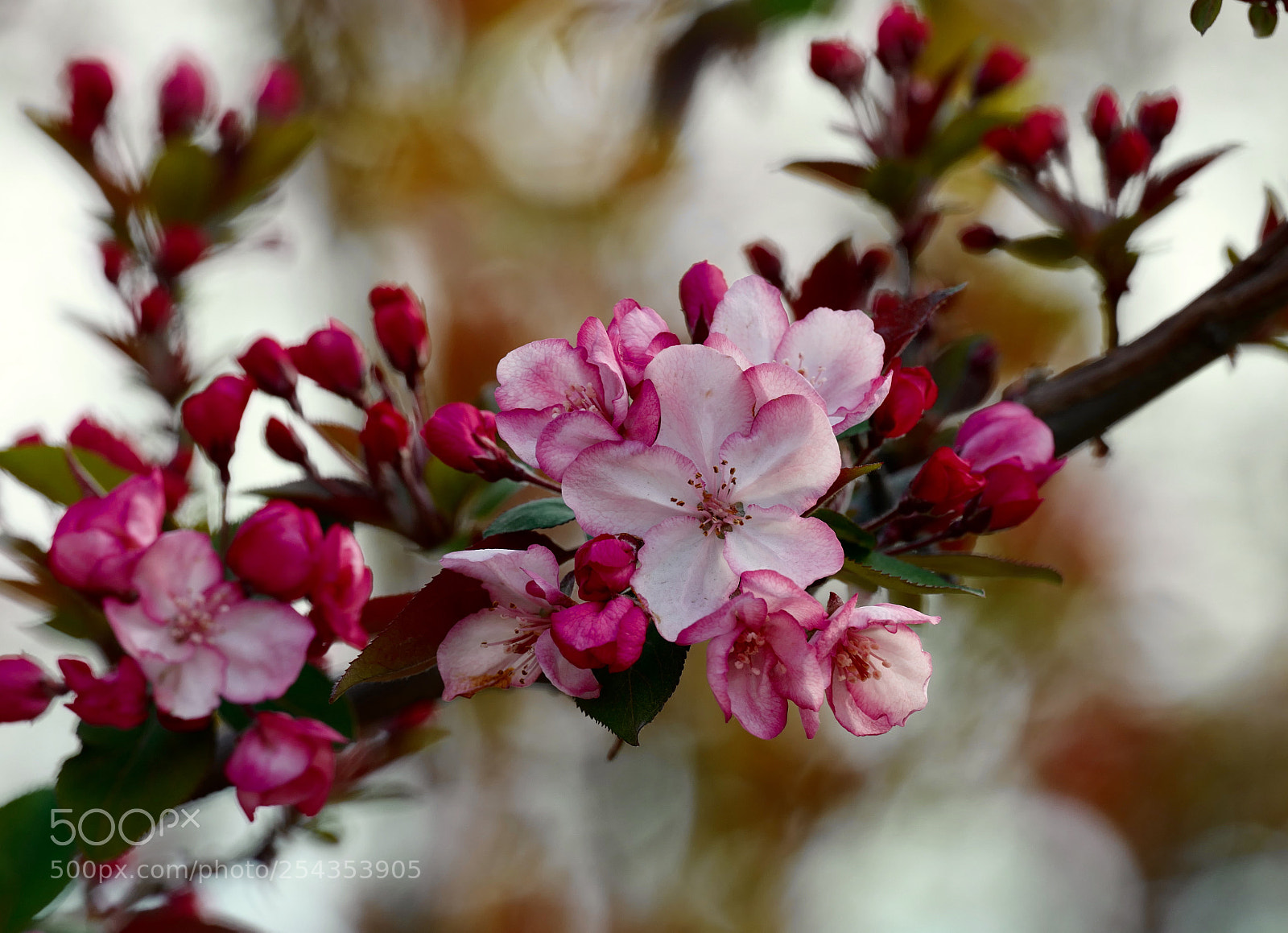 Leica SL (Typ 601) sample photo. Untitled photography