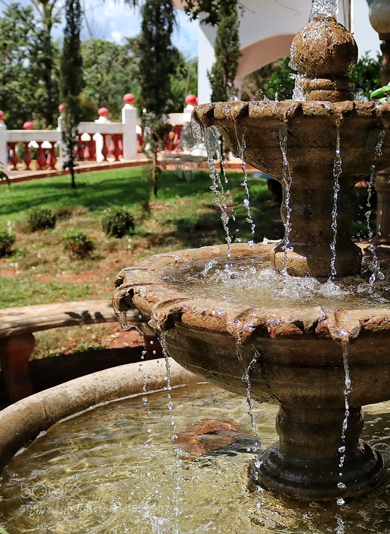 Canon EOS 750D (EOS Rebel T6i / EOS Kiss X8i) sample photo. Fonte da vida photography