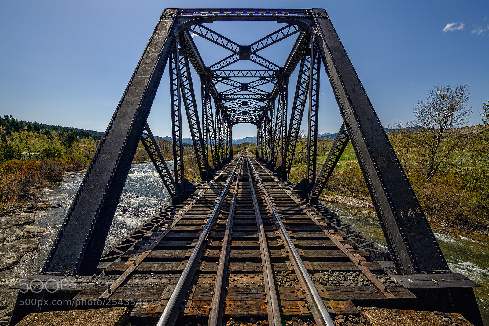 Nikon D800E sample photo. Iron butterfly photography