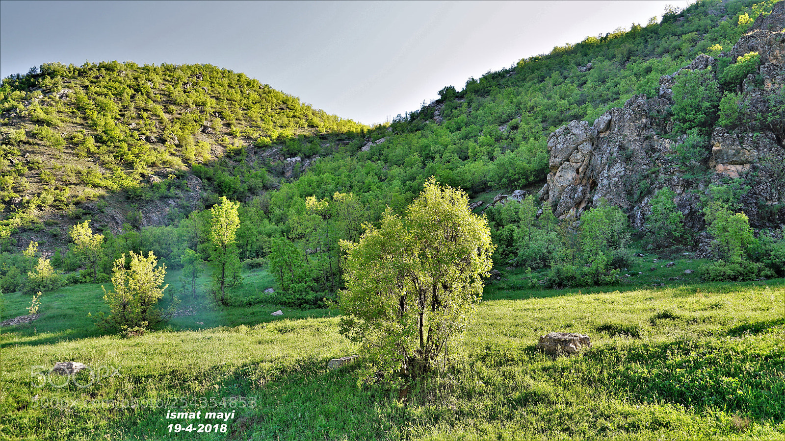 Sony a7 II sample photo. 3.jpg photography
