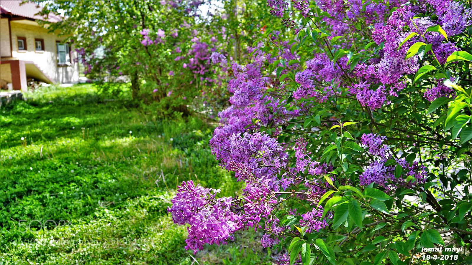 Sony a7 II sample photo. 35.jpg photography