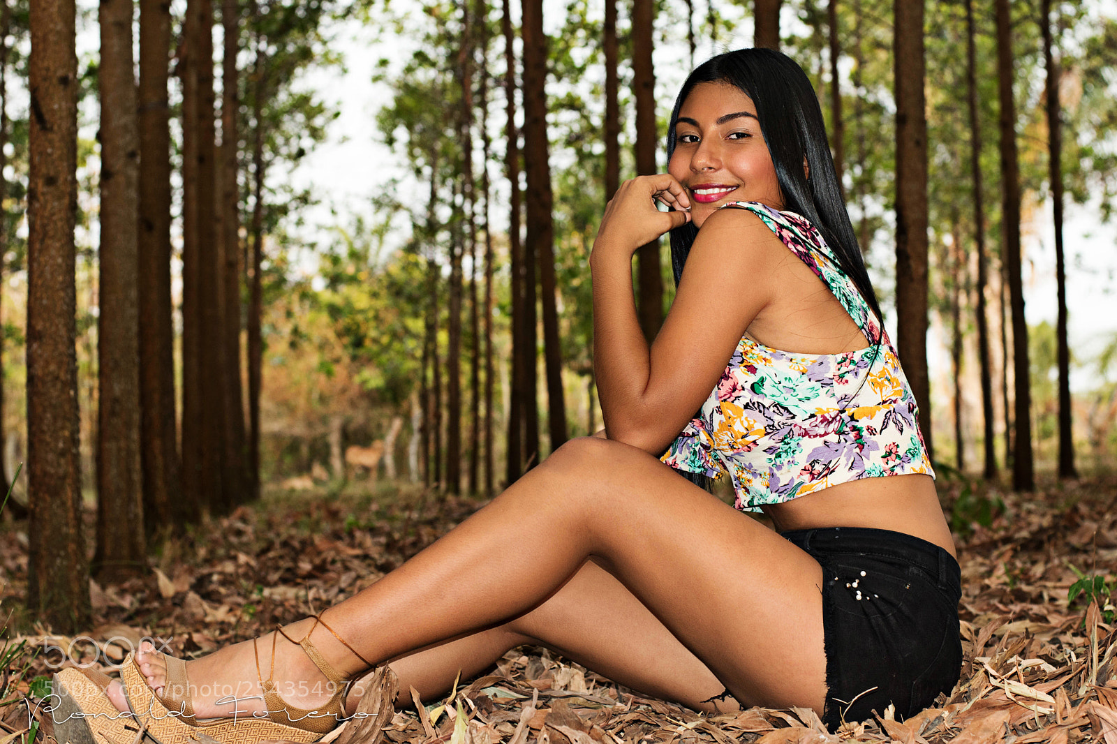 Nikon D5600 sample photo. Shannon test photography