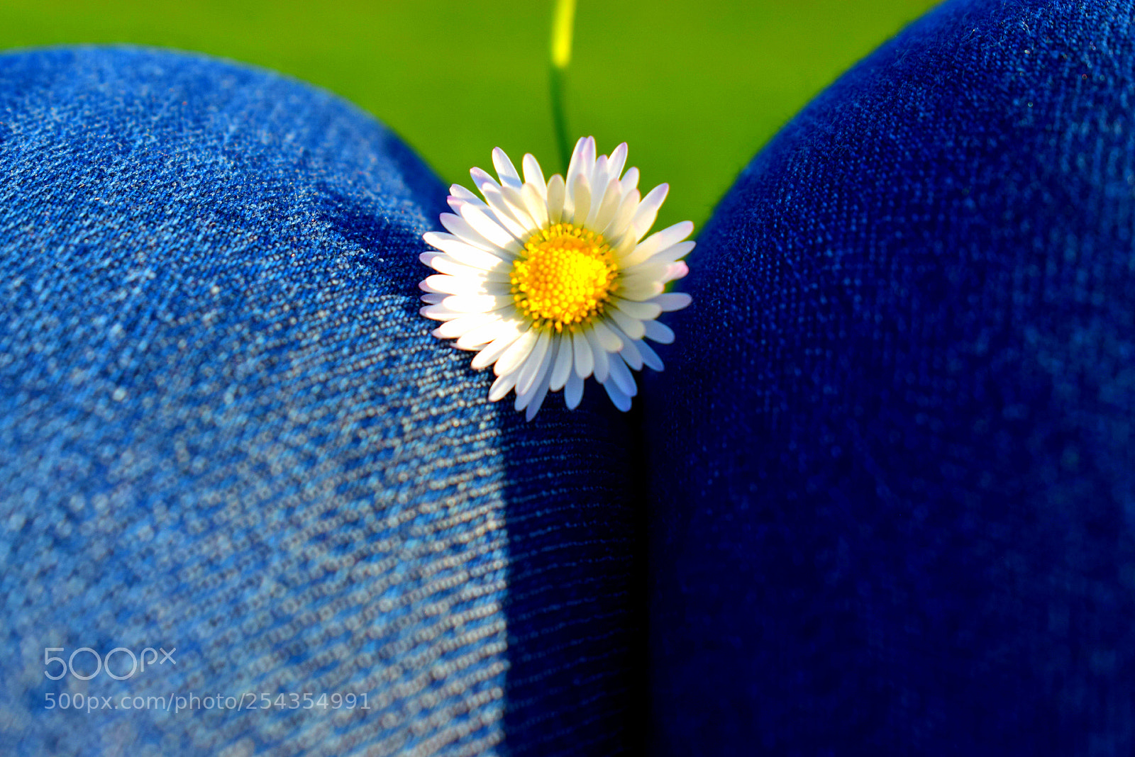 Nikon D5300 sample photo. Untitled photography