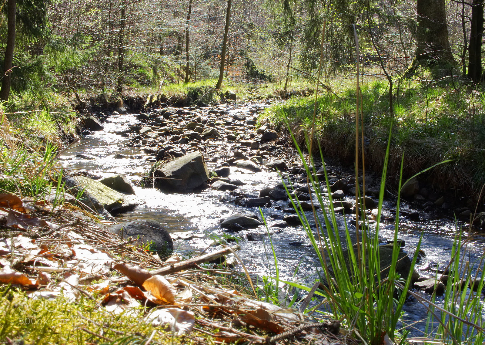 Olympus OM-D E-M10 sample photo. Spring stream photography