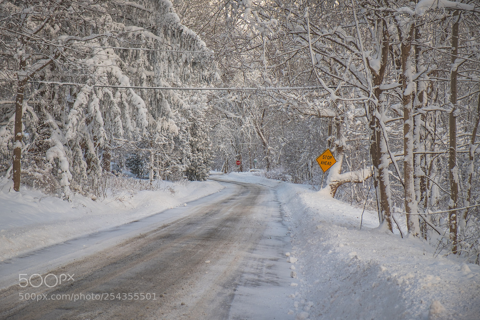 Fujifilm X-T1 sample photo. Watch the bend photography