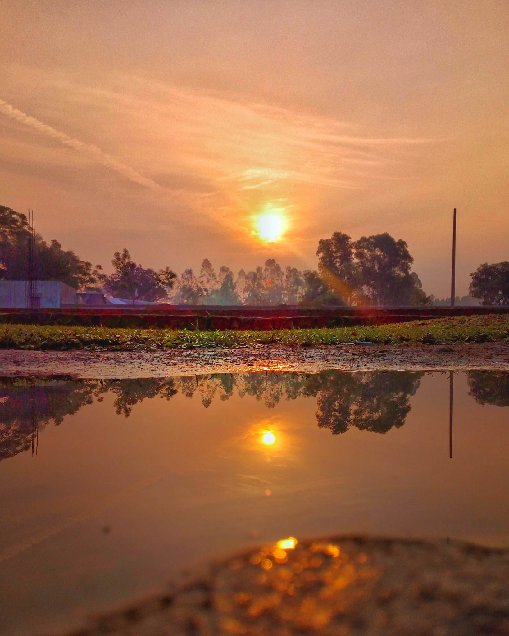Symphony R100 sample photo. Look deep into nature, and then you will understand everything better.. photography