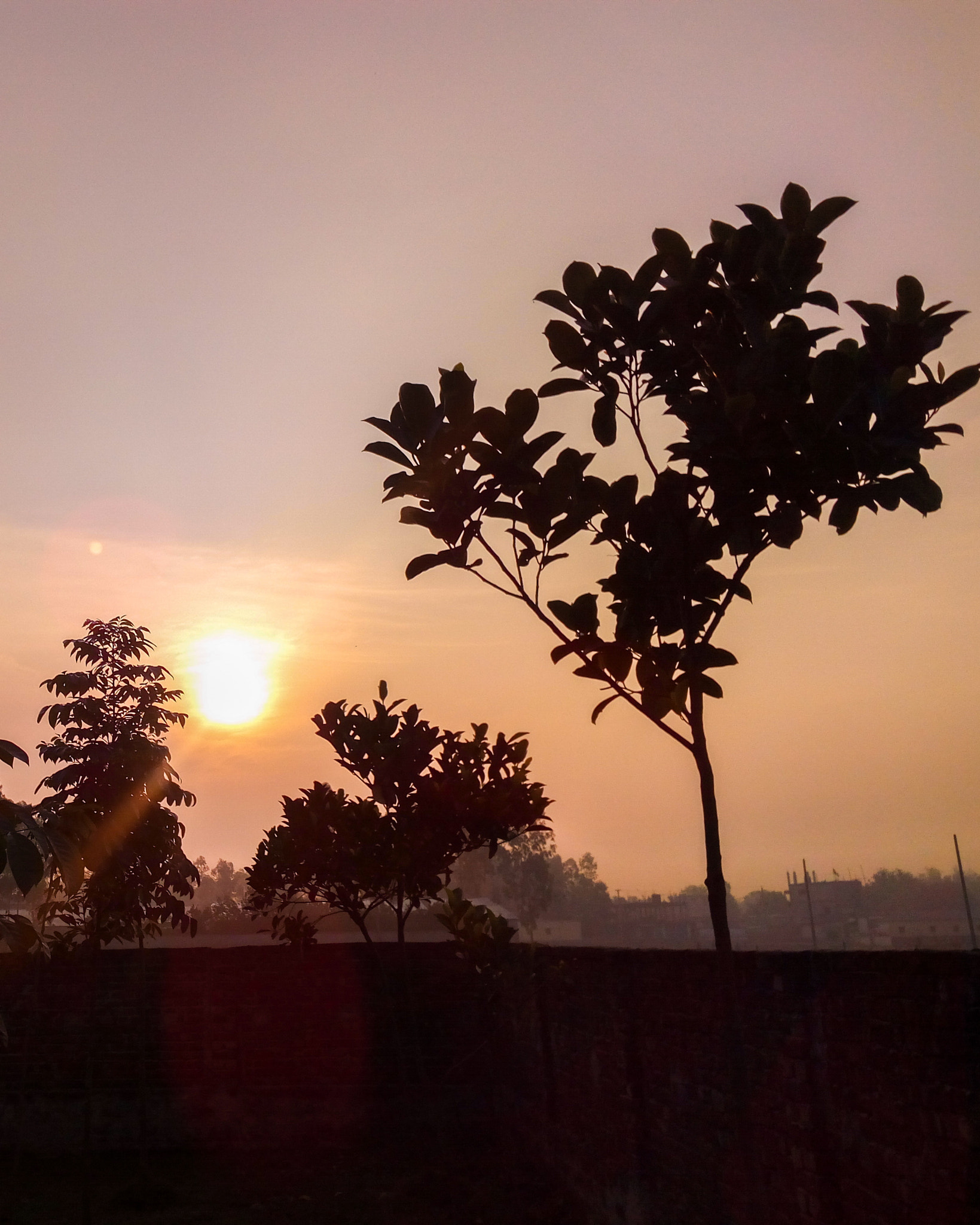Symphony R100 sample photo. Wherever you go, no matter what the weather, always bring your own sunshine.. photography