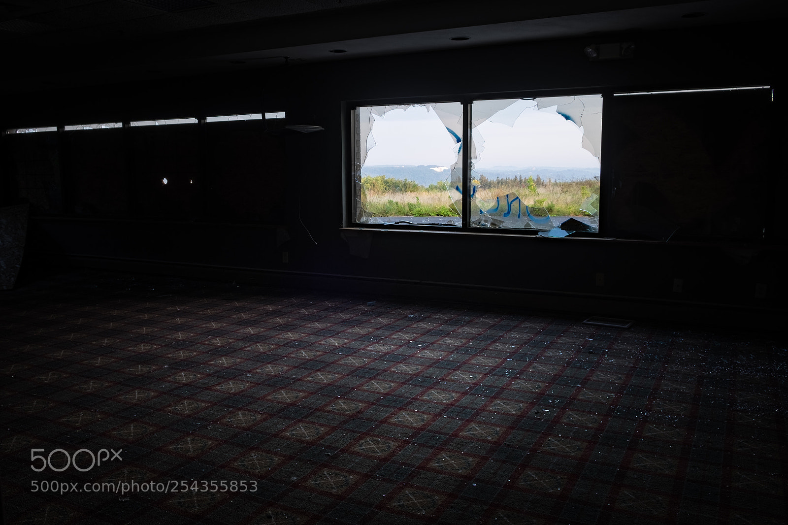 Fujifilm X-T1 sample photo. Look out there photography
