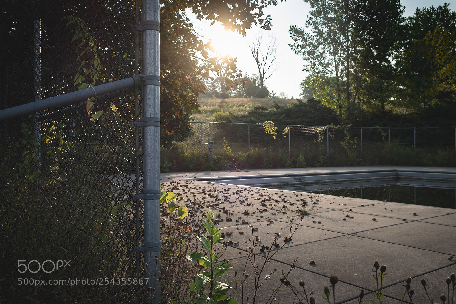 Fujifilm X-T1 sample photo. Beautiful morning photography