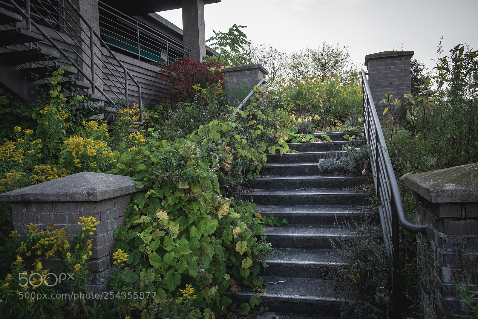 Fujifilm X-T1 sample photo. Covered over photography