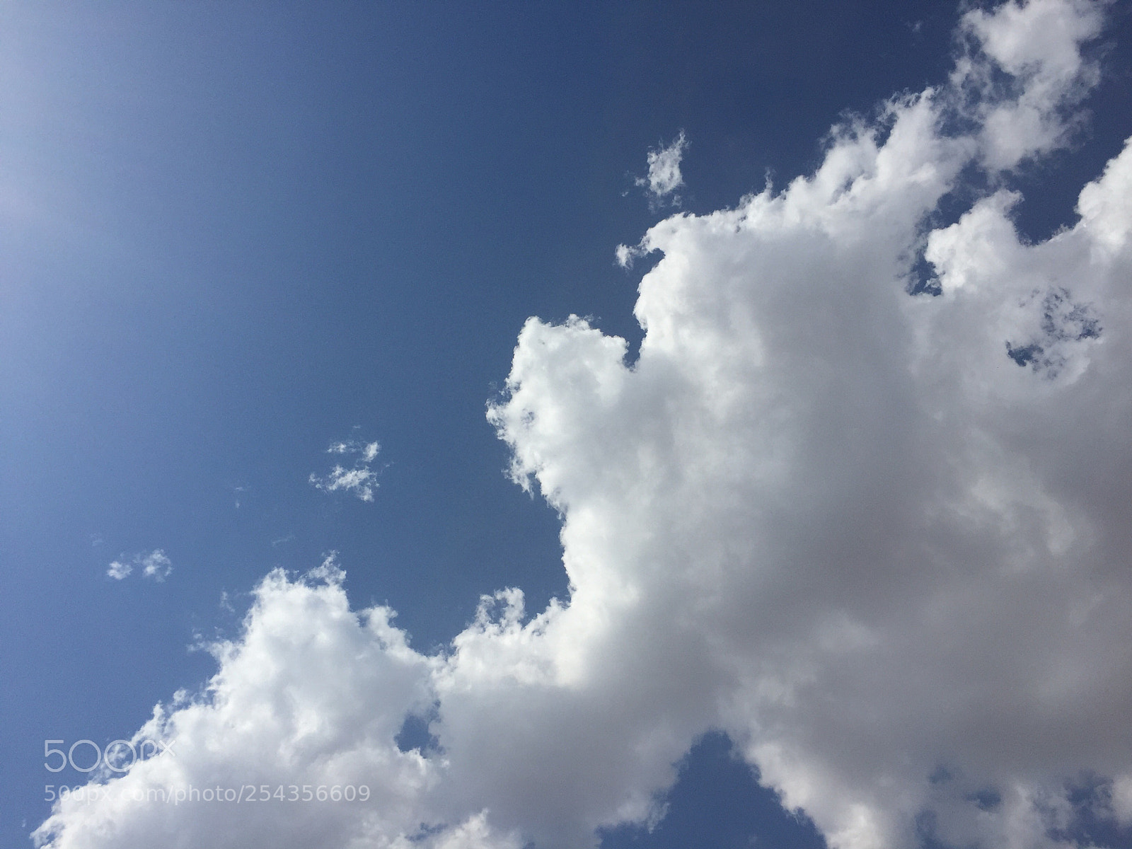Apple iPhone 6 sample photo. Untitled photography