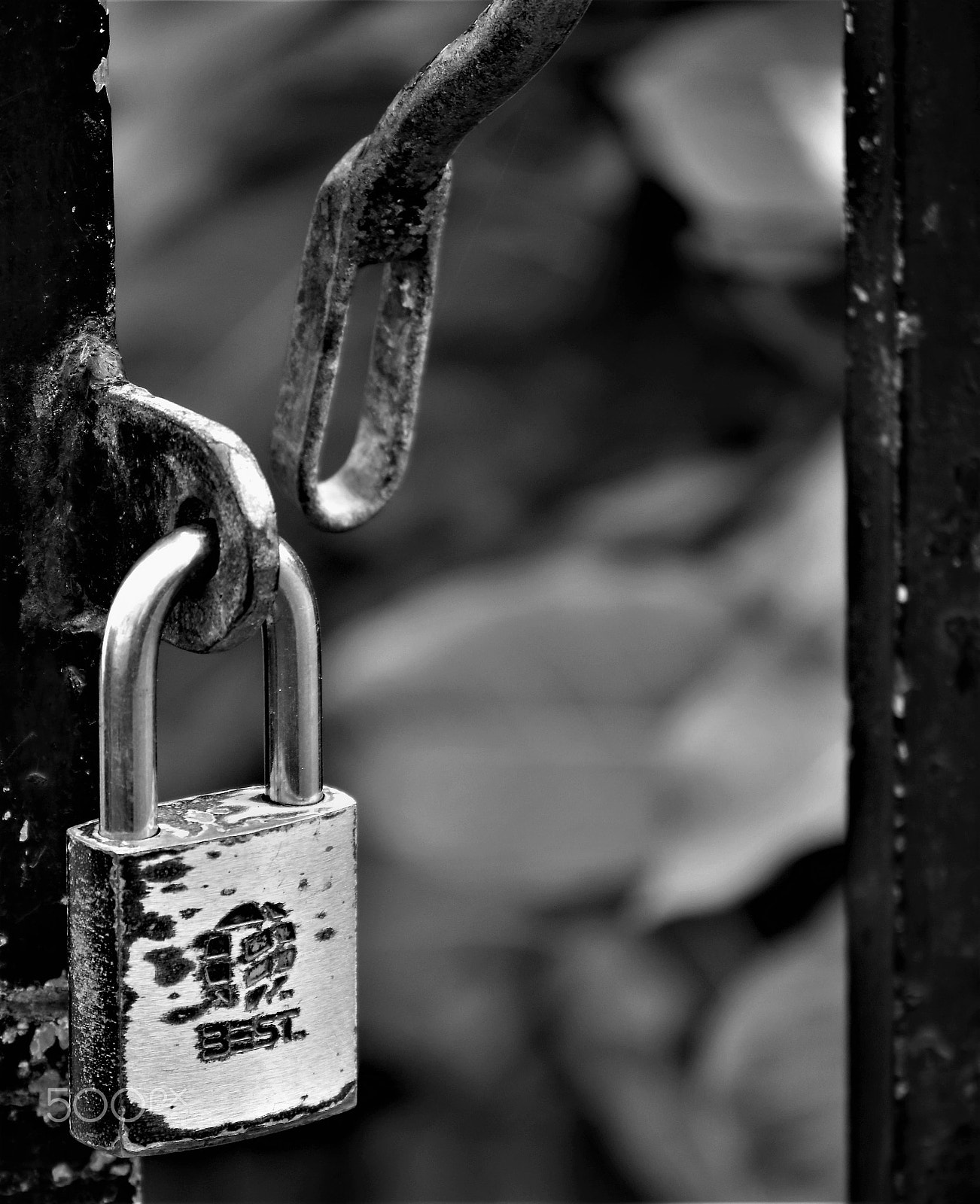 Nikon D5500 sample photo. Black and white gate lock photography