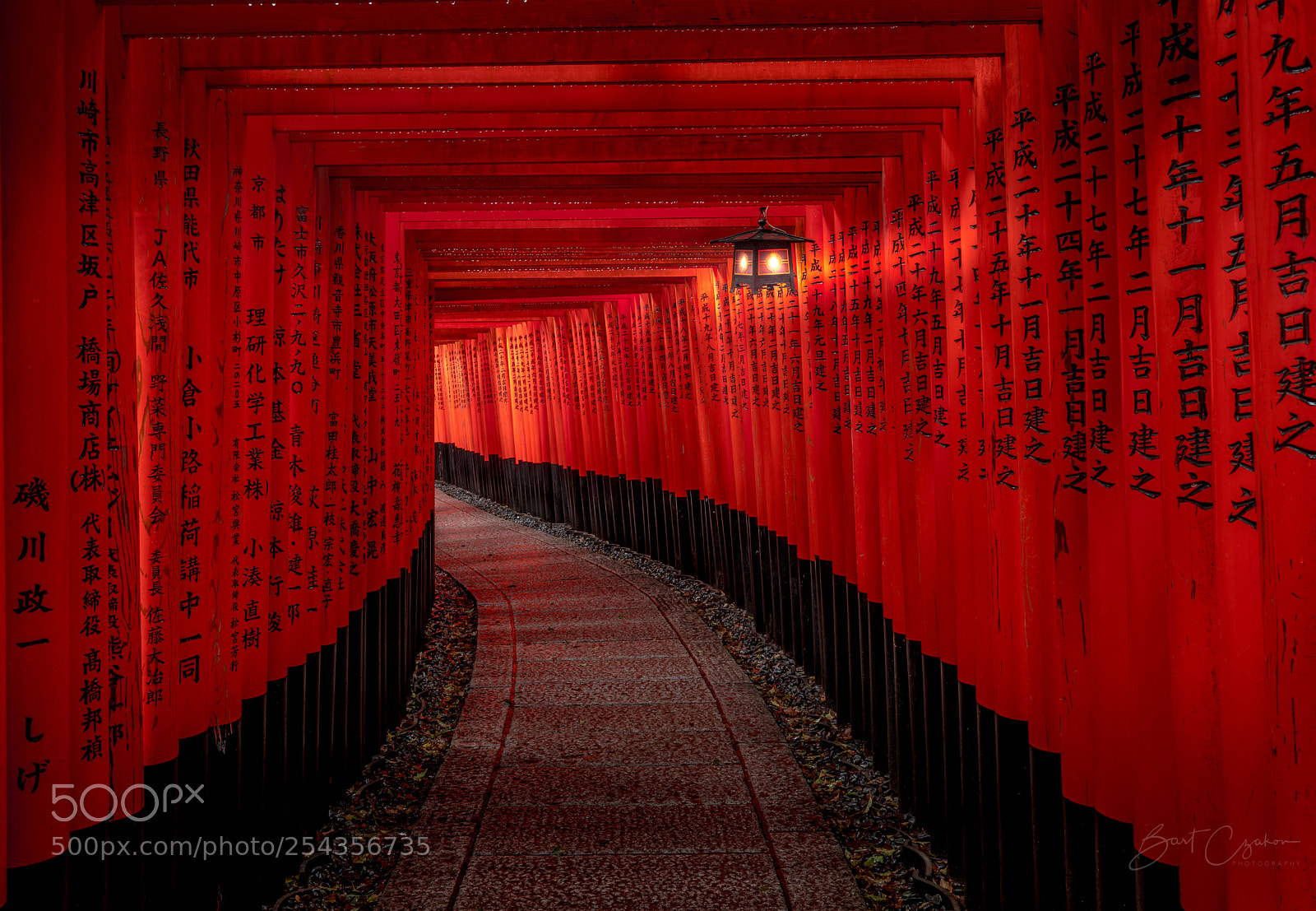 Canon EOS 5D Mark IV sample photo. Secret path of inari photography