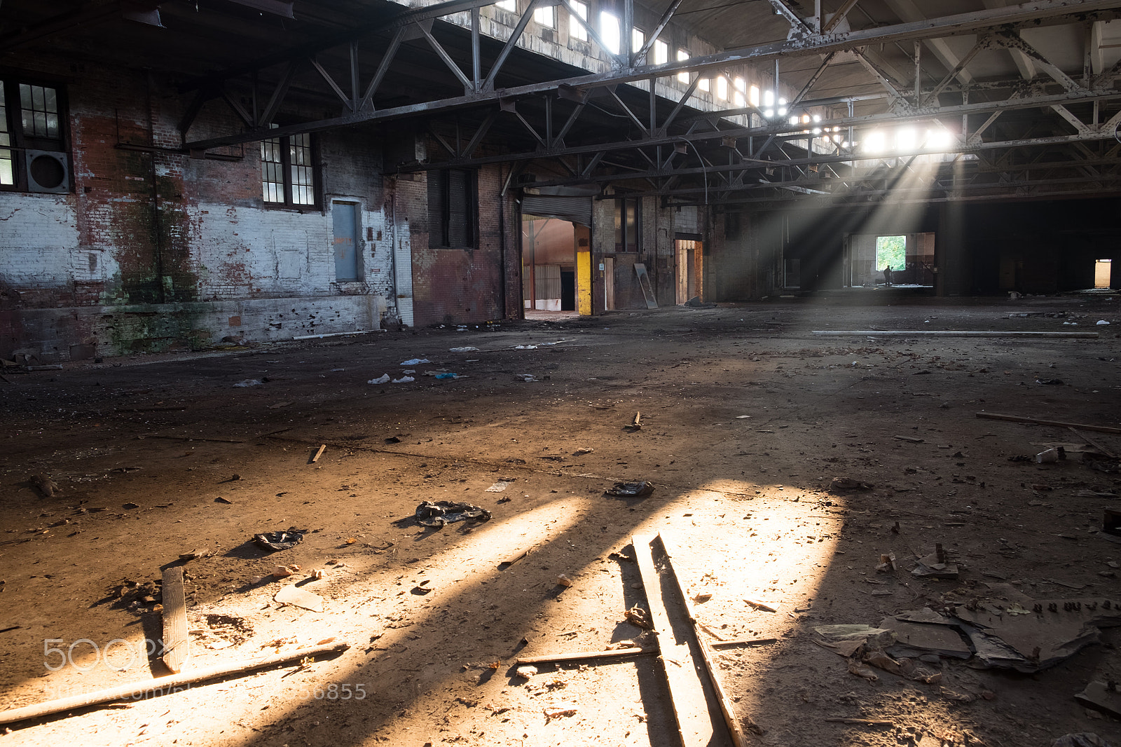 Fujifilm X-T1 sample photo. Morn light photography