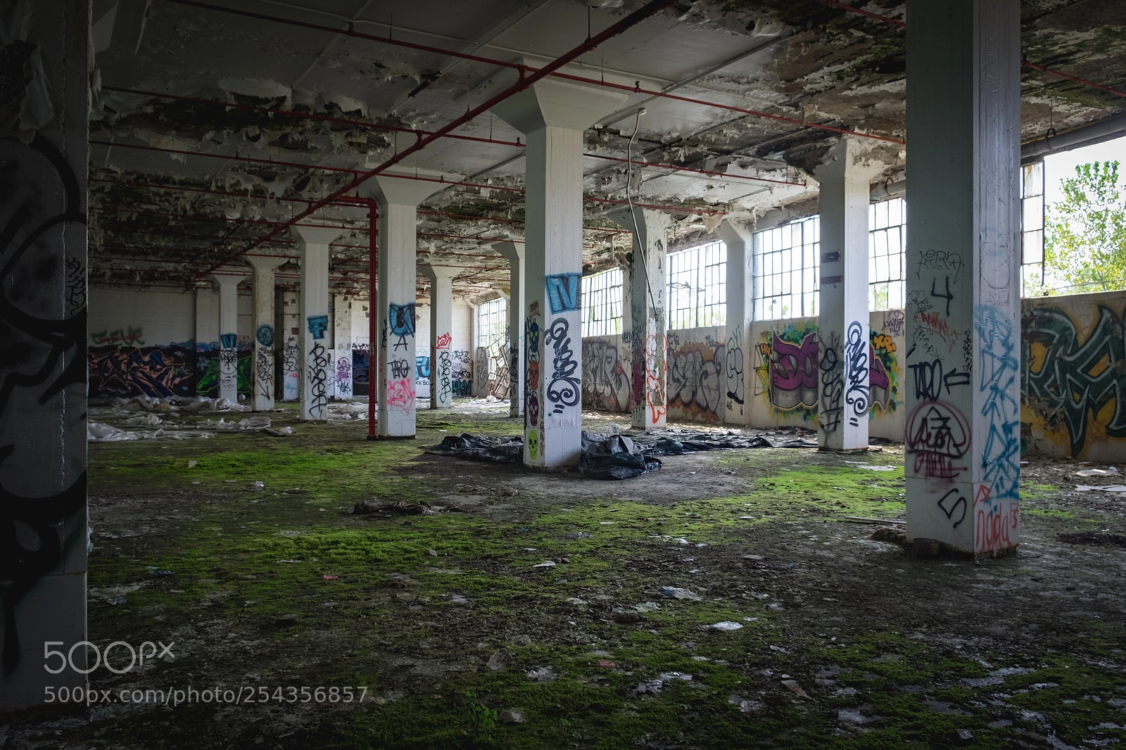 Fujifilm X-T1 sample photo. Pillars photography