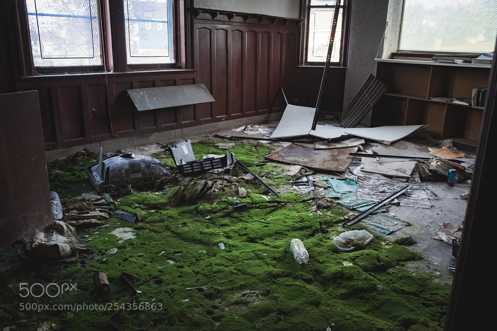 Fujifilm X-T1 sample photo. Shagg photography