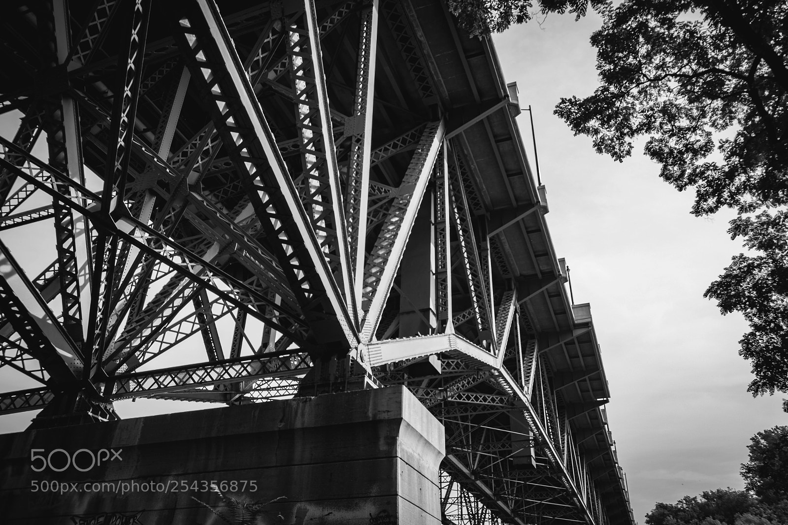 Fujifilm X-T1 sample photo. Support photography