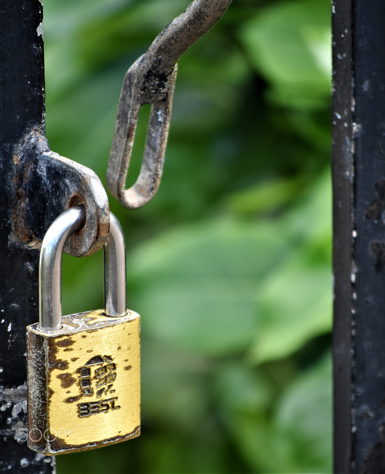 Nikon D5500 sample photo. Timeless gate in hawaii photography