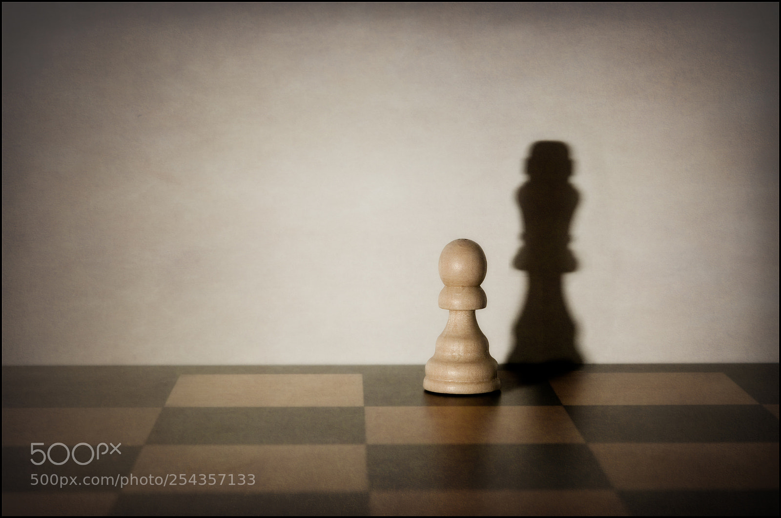 Nikon D300S sample photo. The pawn that would photography