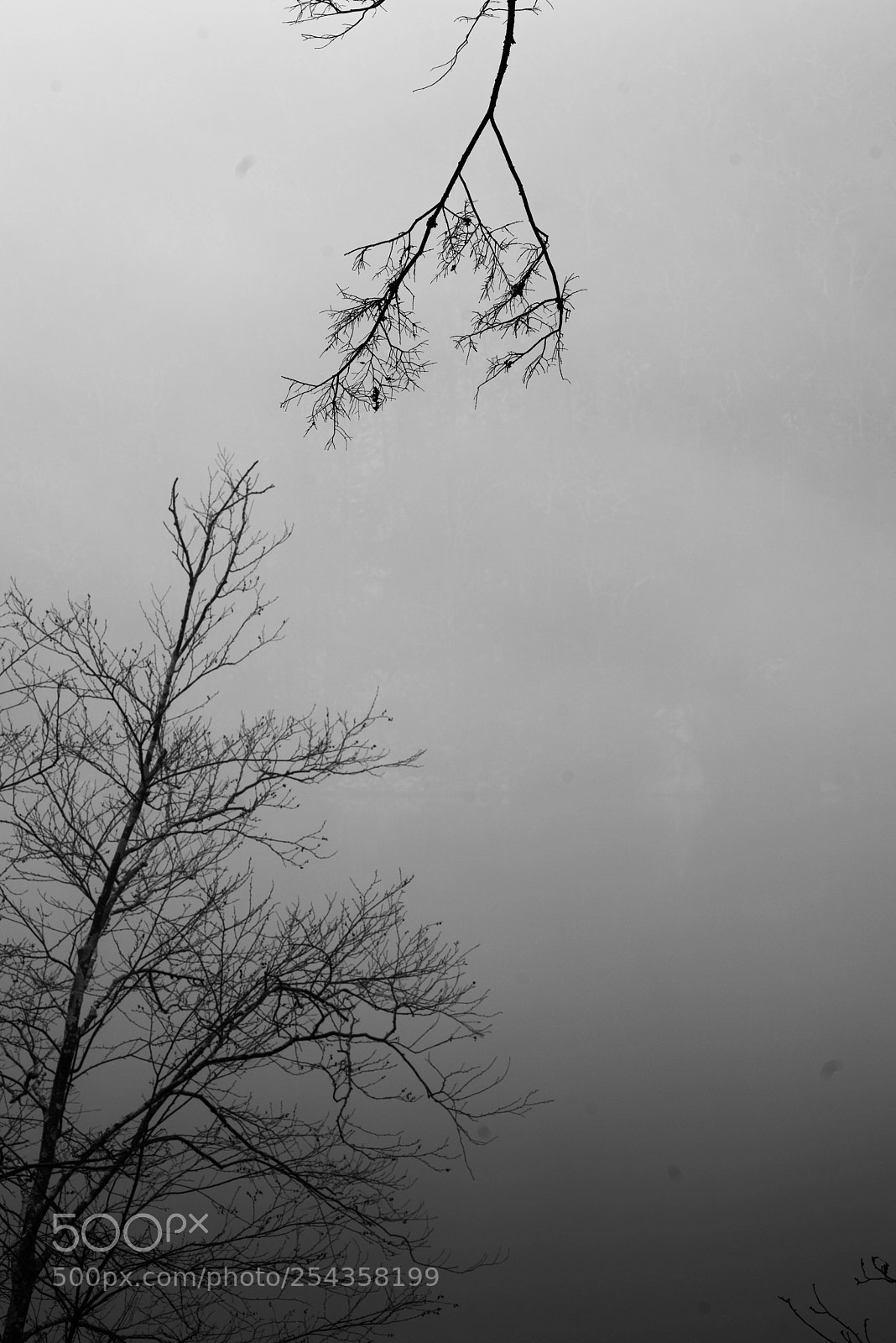 Pentax K-1 sample photo. Chapel of nature photography