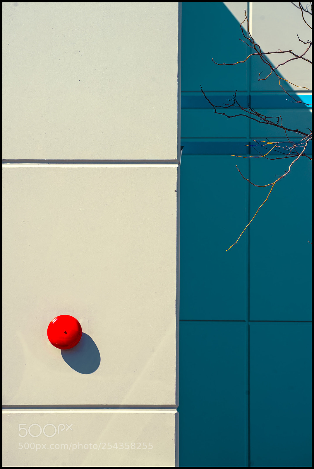 Nikon D610 sample photo. Alarming photography