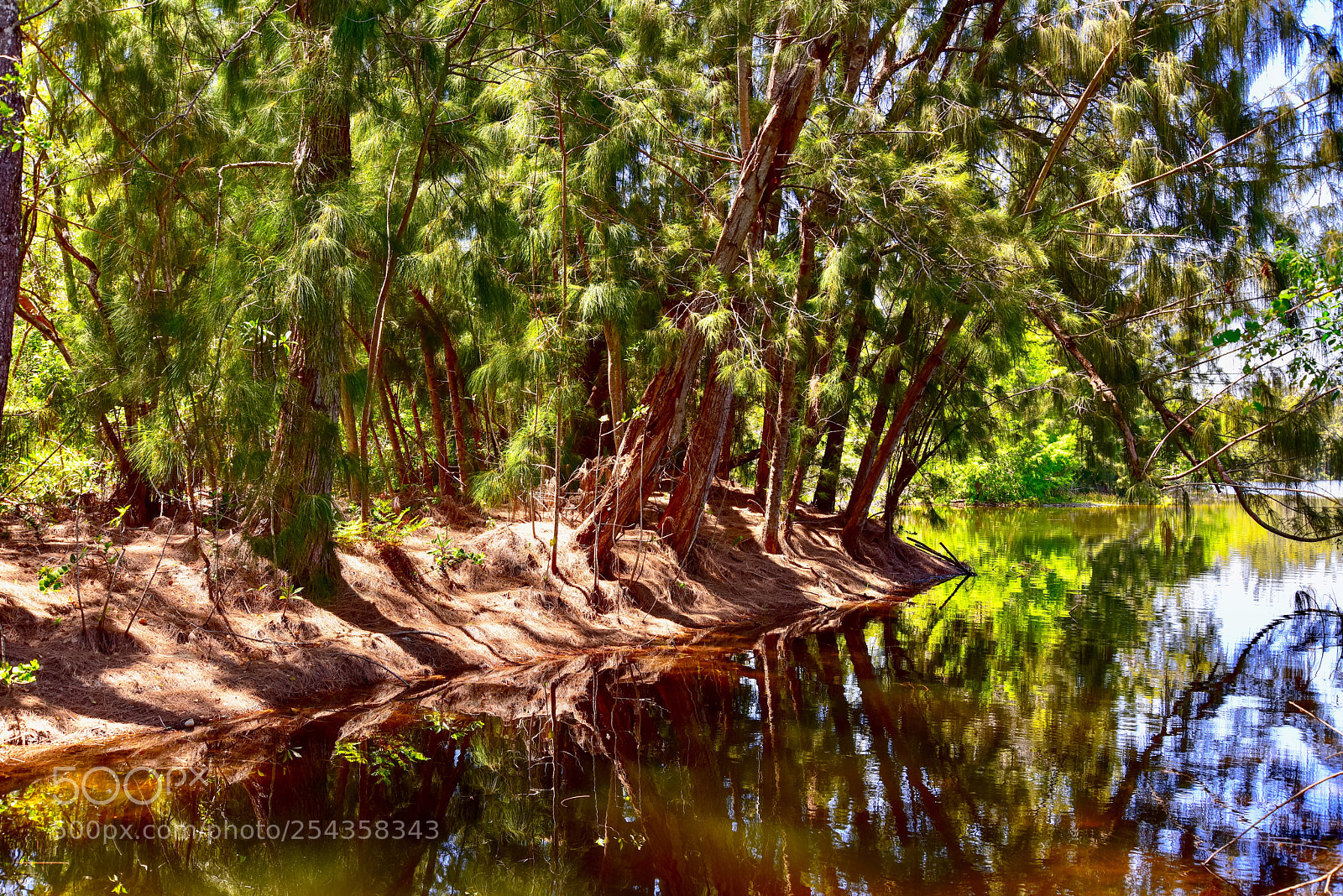 Nikon D810 sample photo. Outer bank  photography
