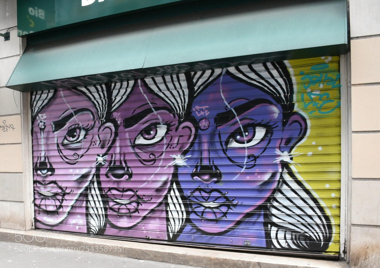 Nikon D7200 sample photo. #artecallejero #streetart #paris #francia?? photography