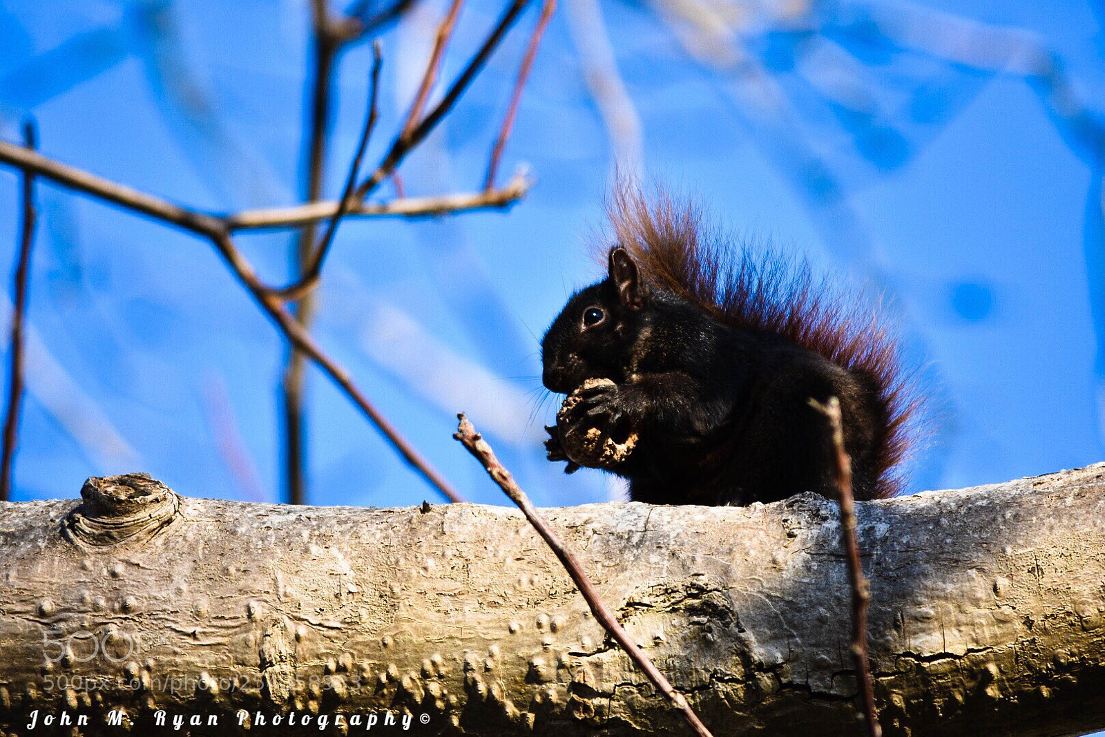 Nikon D3400 sample photo. Sometimes you feel like photography