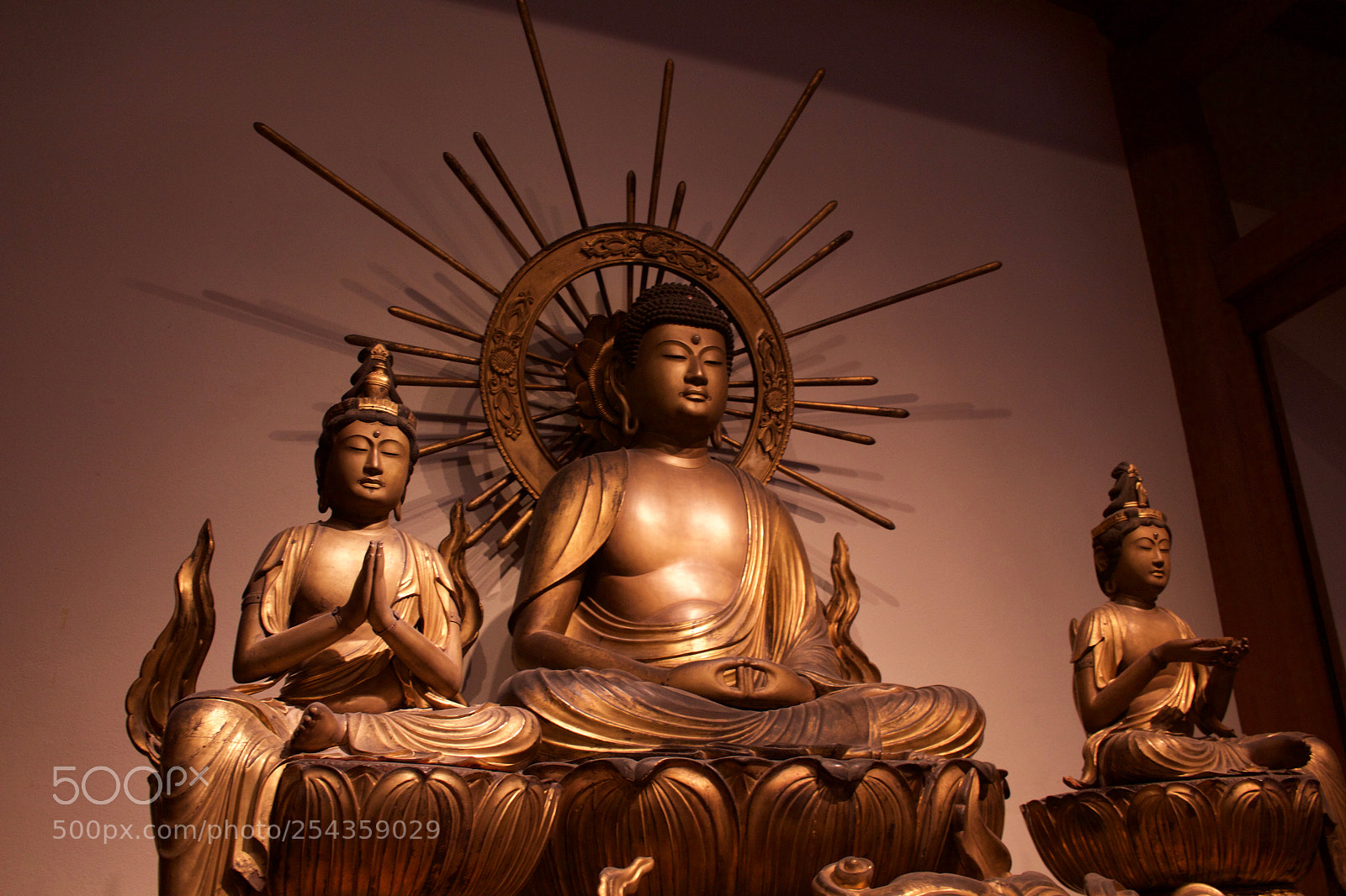 Canon EOS 700D (EOS Rebel T5i / EOS Kiss X7i) sample photo. Boston museum of fine photography