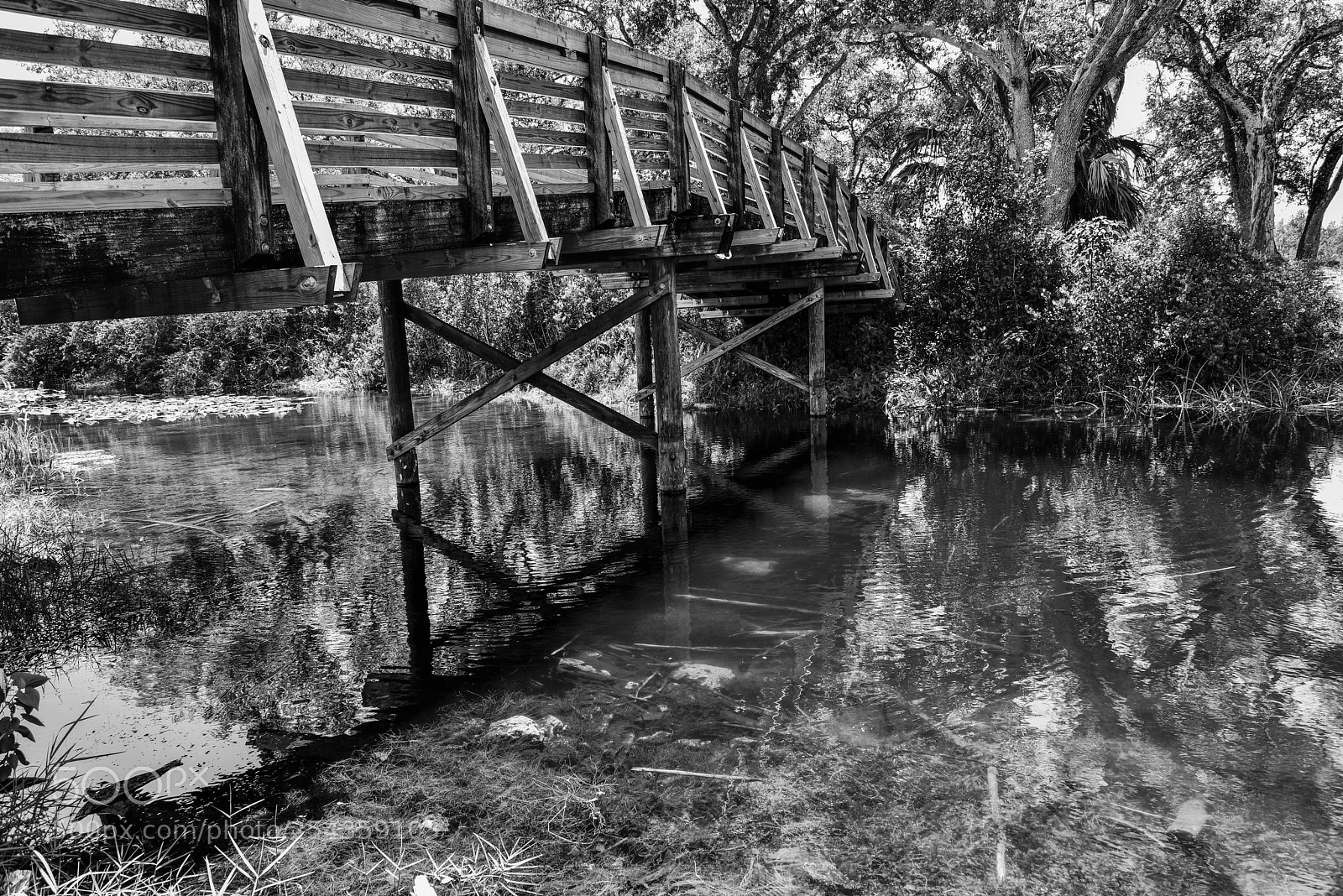 Nikon D810 sample photo. Renovated  photography