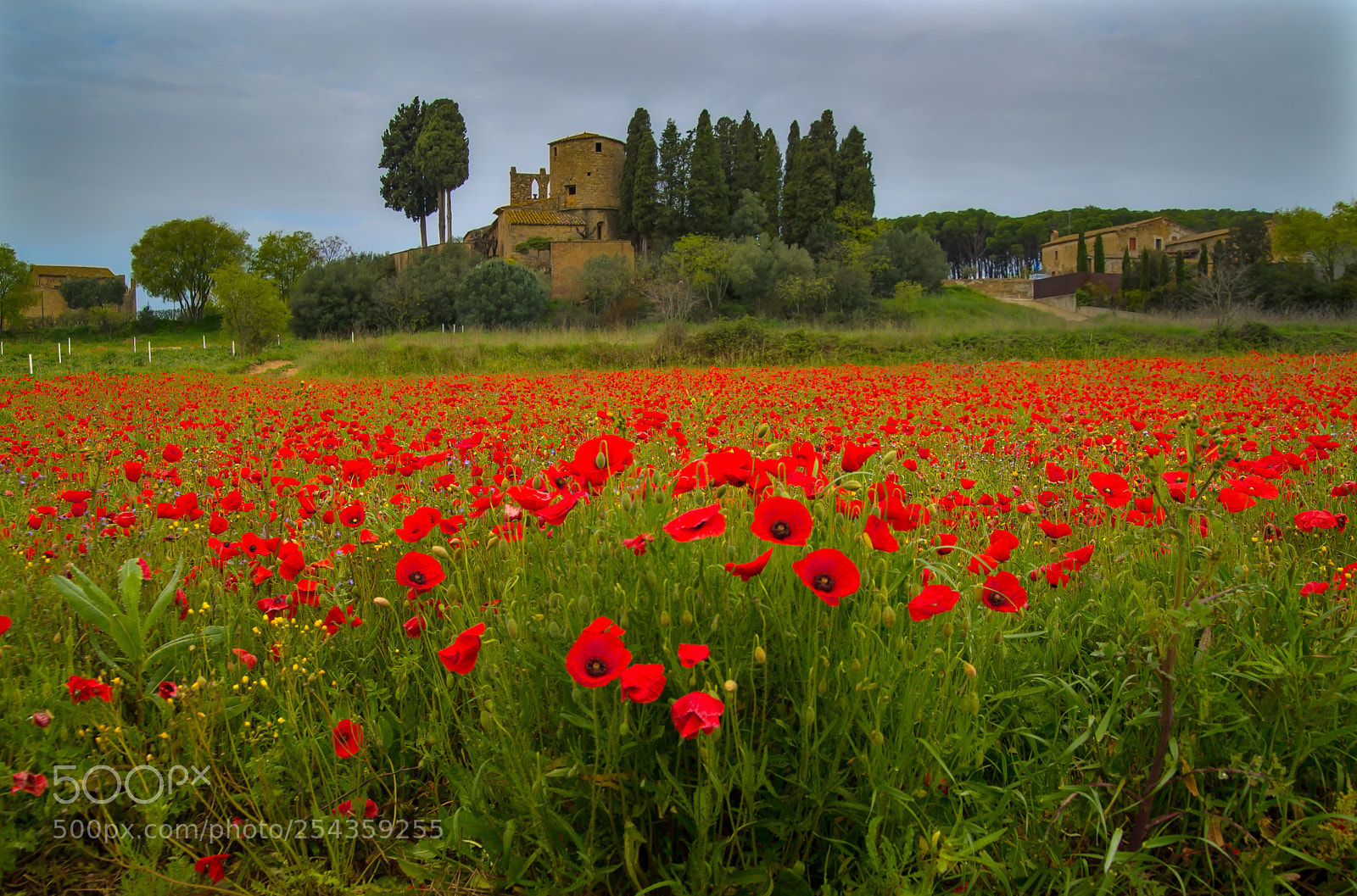 Nikon D610 sample photo. Peratallada photography