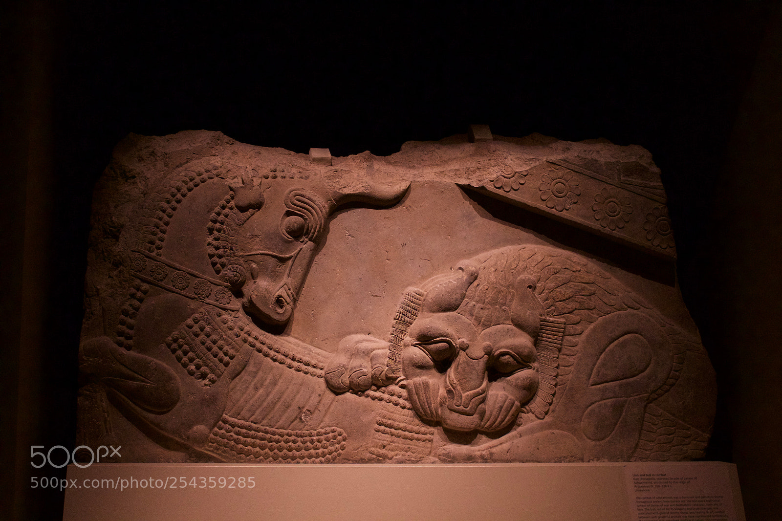 Canon EOS 700D (EOS Rebel T5i / EOS Kiss X7i) sample photo. Boston museum of fine photography