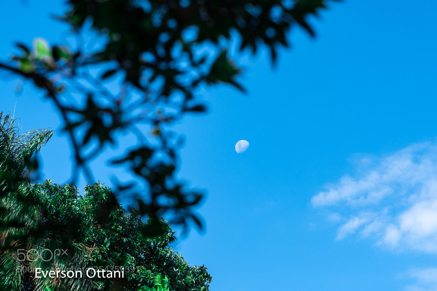 Nikon D500 sample photo. Noon photography