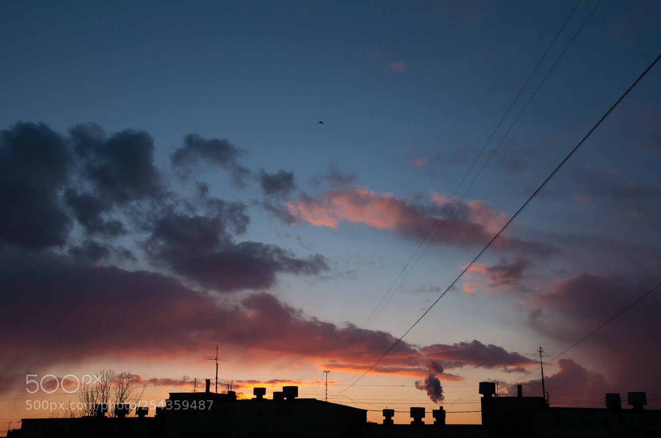 Nikon D5000 sample photo. Season of sunsets photography