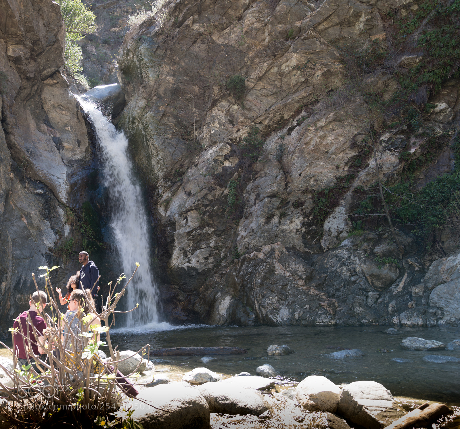 Sony a7R III sample photo. Dsc00065-1.jpg photography