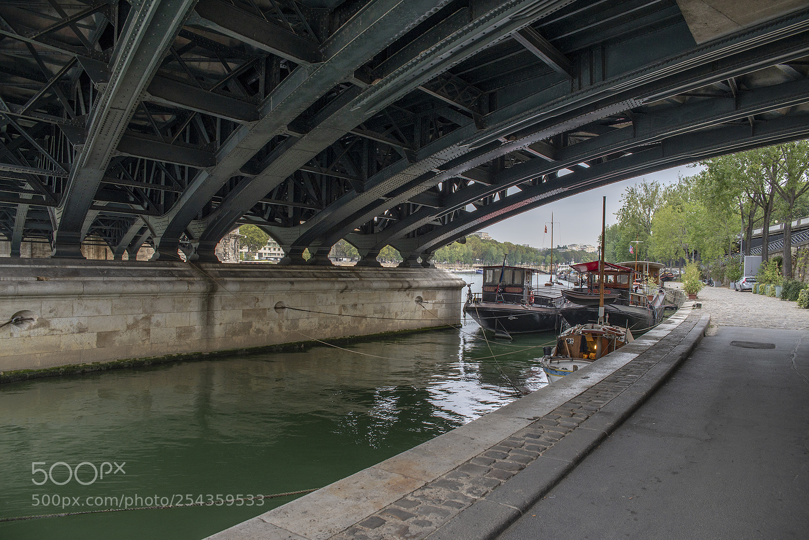 Nikon D600 sample photo. Pont de bir-hakeim photography