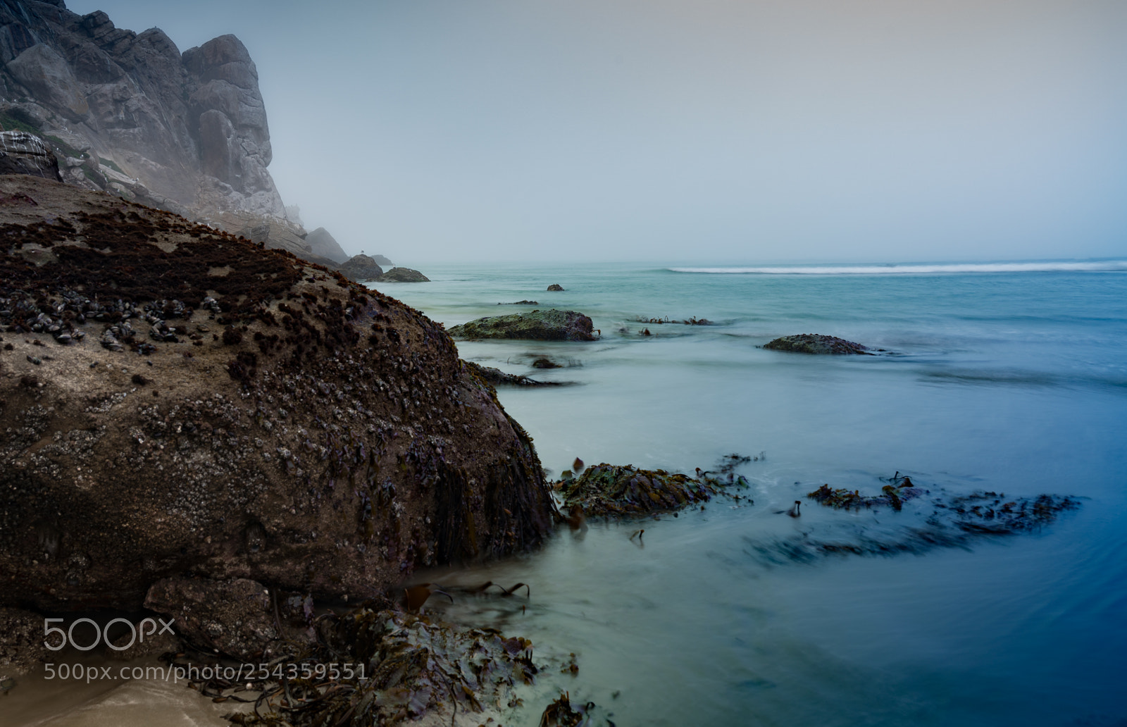 Sony a7R III sample photo. Foggy day at morrow photography