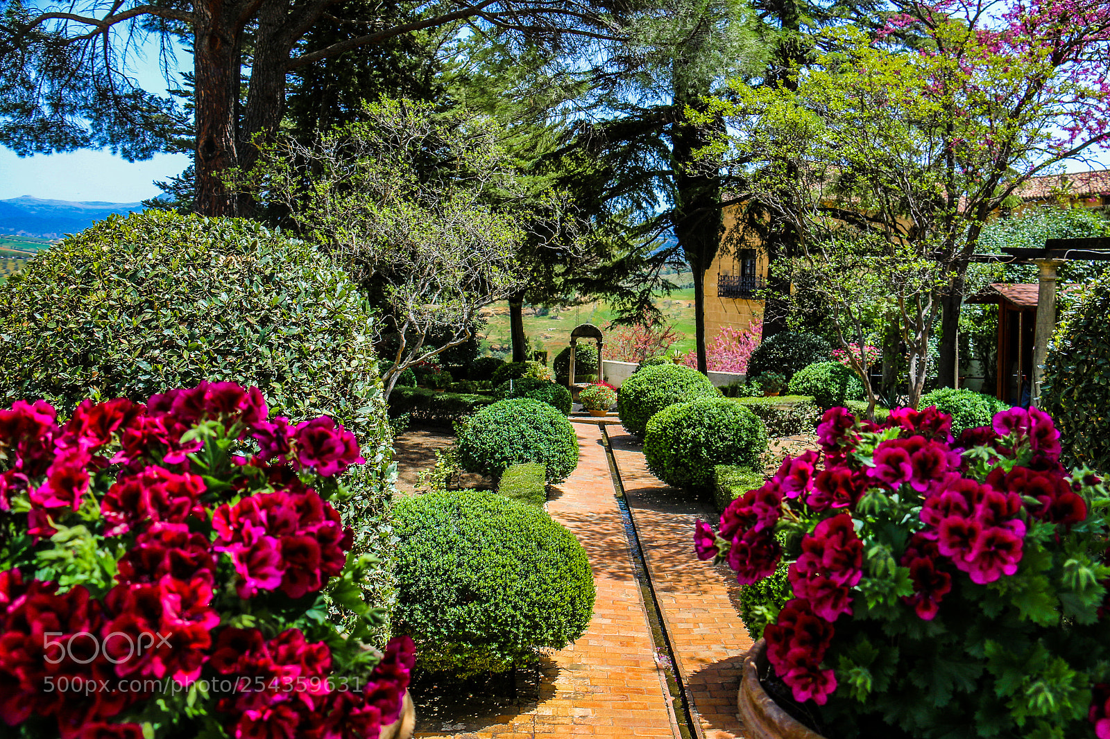 Canon EOS 70D sample photo. Garden in ronda, spain photography