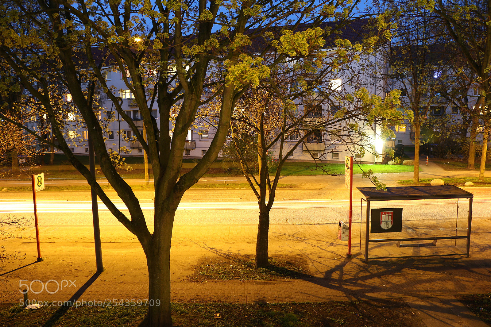 Canon EOS 700D (EOS Rebel T5i / EOS Kiss X7i) sample photo. Img photography
