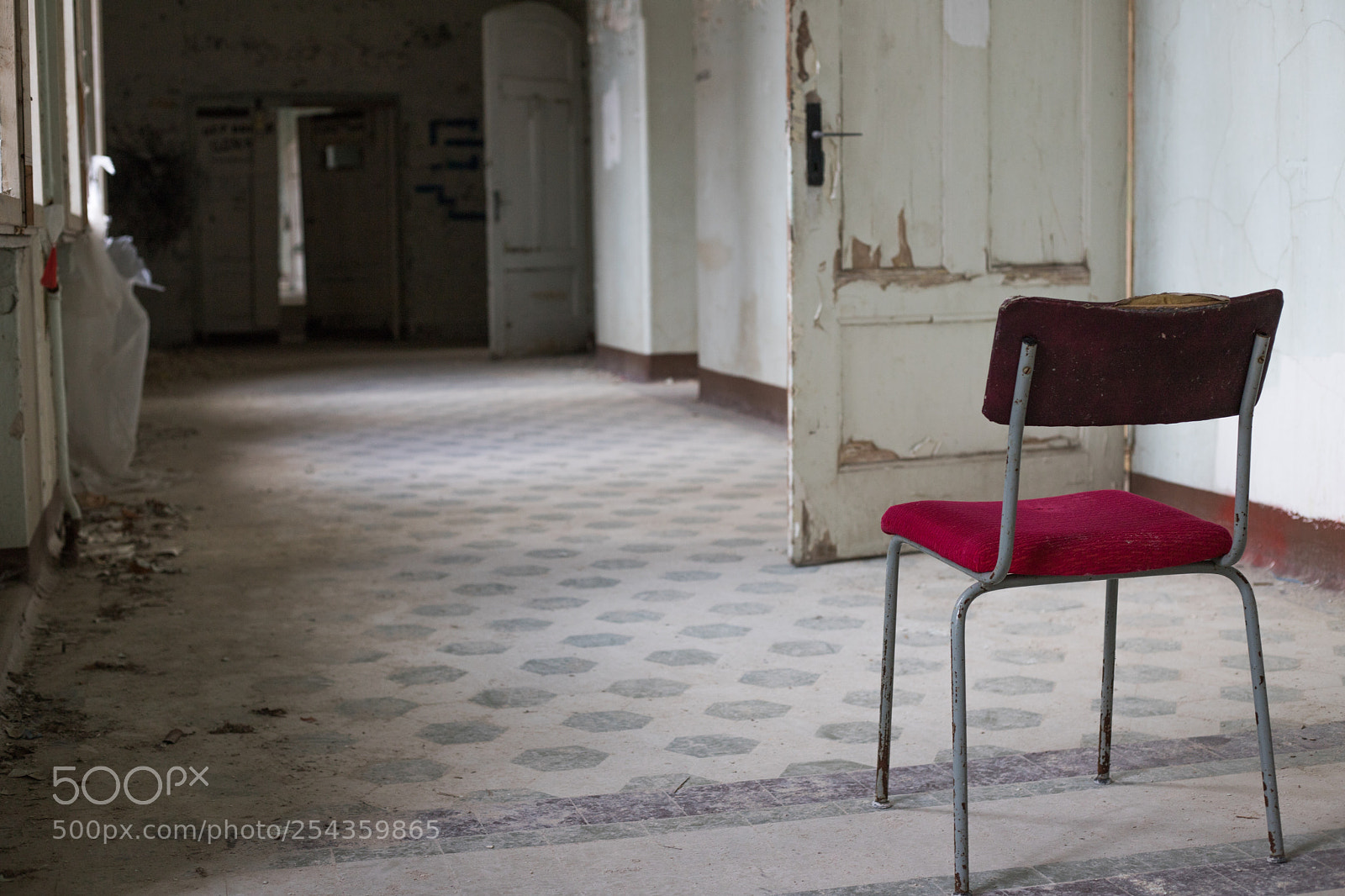 Canon EOS 6D Mark II sample photo. Untitled photography