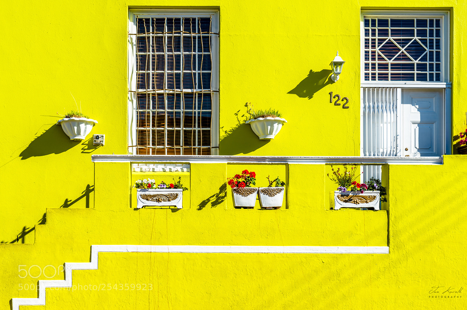 Nikon D800 sample photo. 'green' house photography