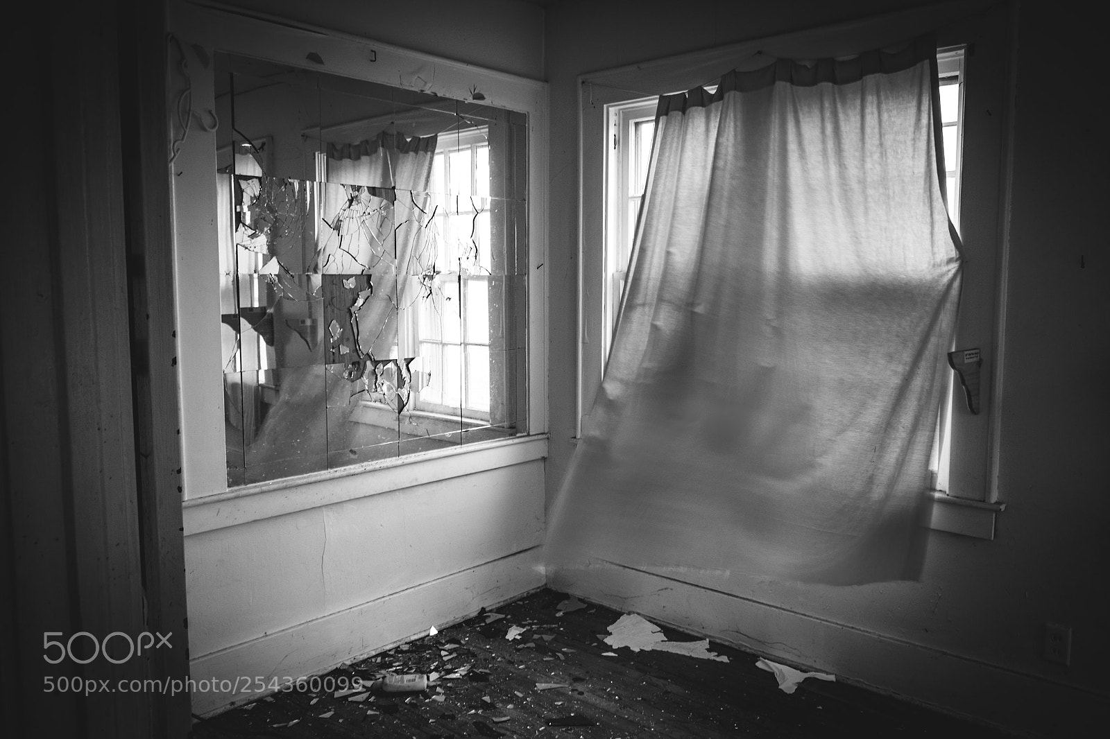 Fujifilm X-T1 sample photo. Wippin wind photography