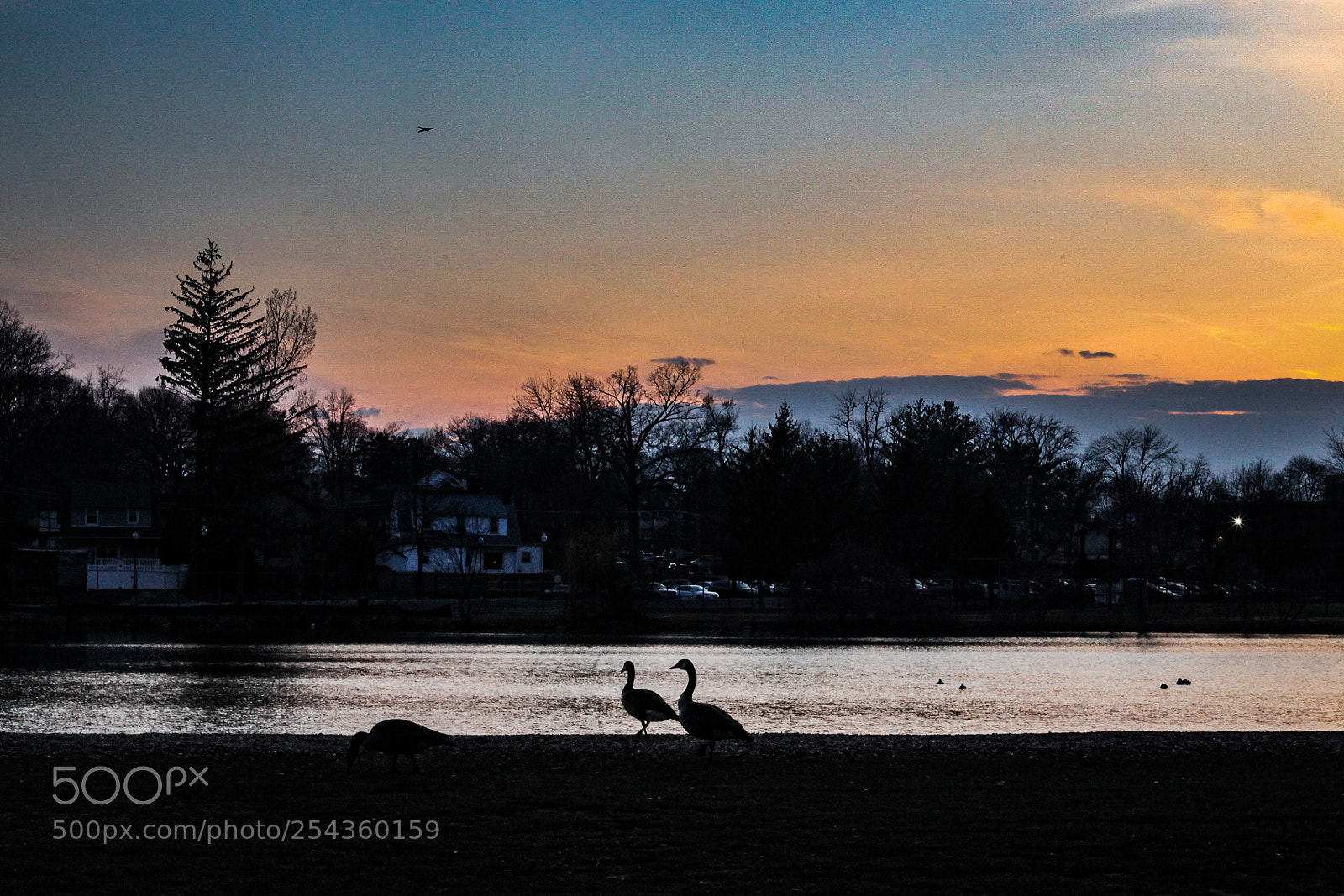 Canon EOS 5D Mark II sample photo. Img photography