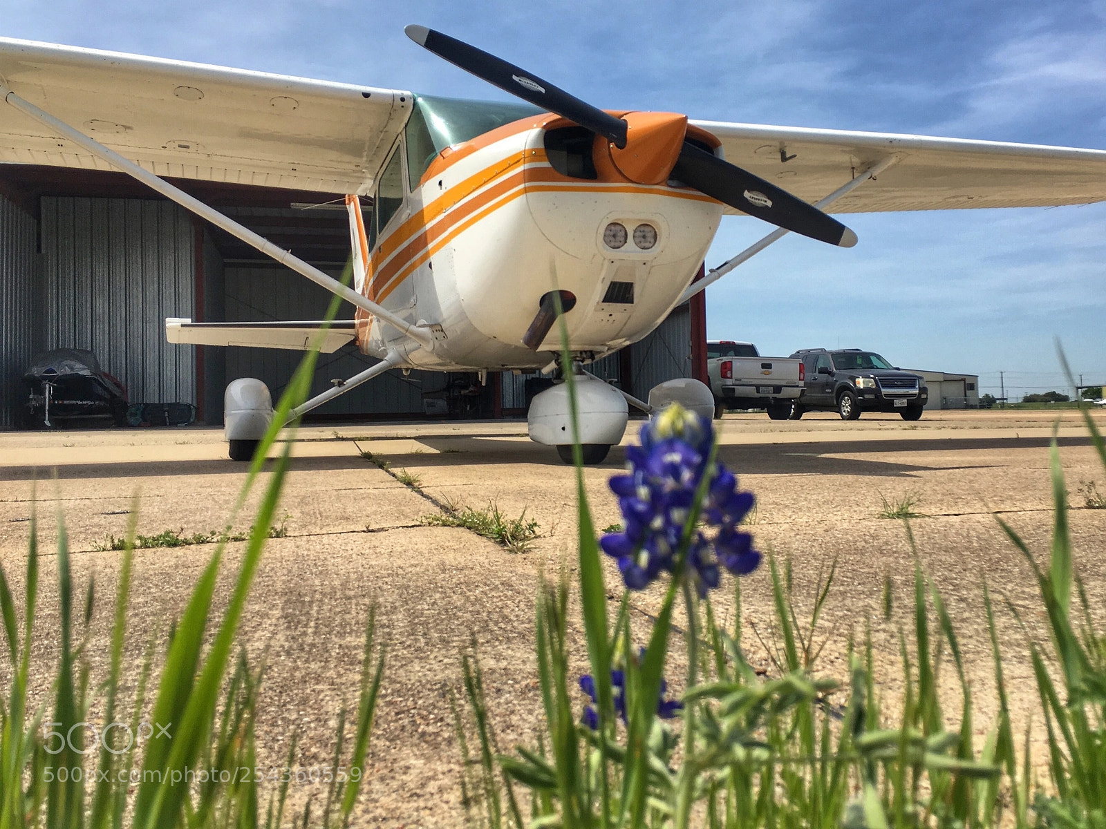Apple iPhone SE sample photo. Texas spring photography